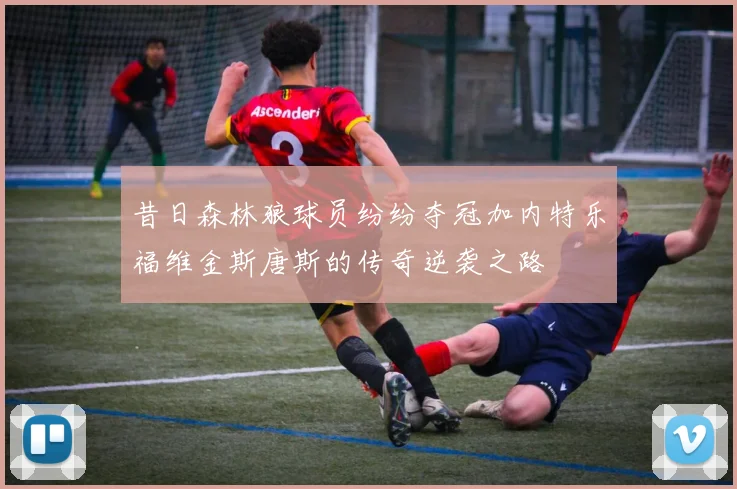 昔日森林狼球员纷纷夺冠加内特乐福维金斯唐斯的传奇逆袭之路