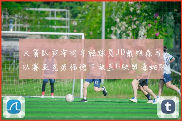 火箭队宣布将年轻球员JD戴维森与以赛亚克劳福德下放至G联盟毒蛇队进行锻炼